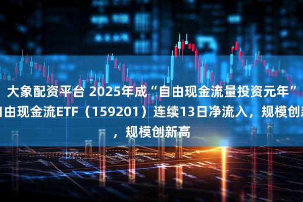大象配资平台 2025年成“自由现金流量投资元年”，自由现金流ETF（159201）连续13日净流入，规模创新高