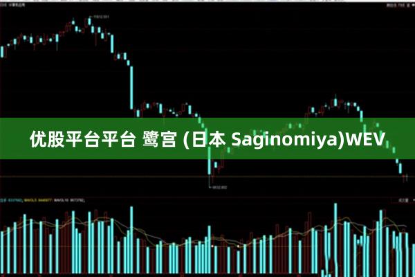 优股平台平台 鹭宫 (日本 Saginomiya)WEV